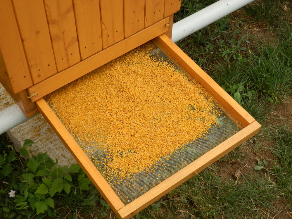 Sušený včelí peľ 260g - PET obal – Obrázok 13