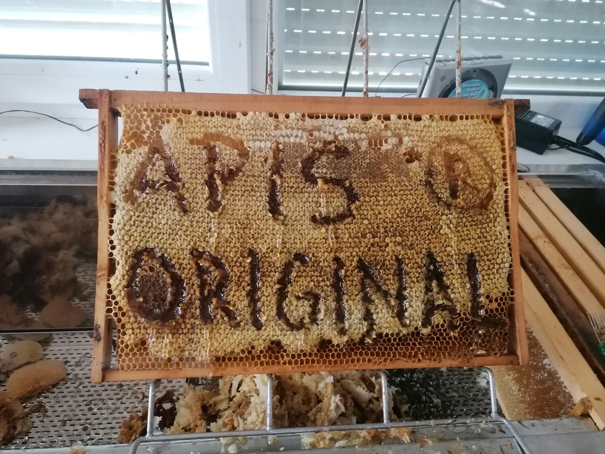 Agátový včelí med 350g - PET obal - macko so sosákom – Obrázok 6