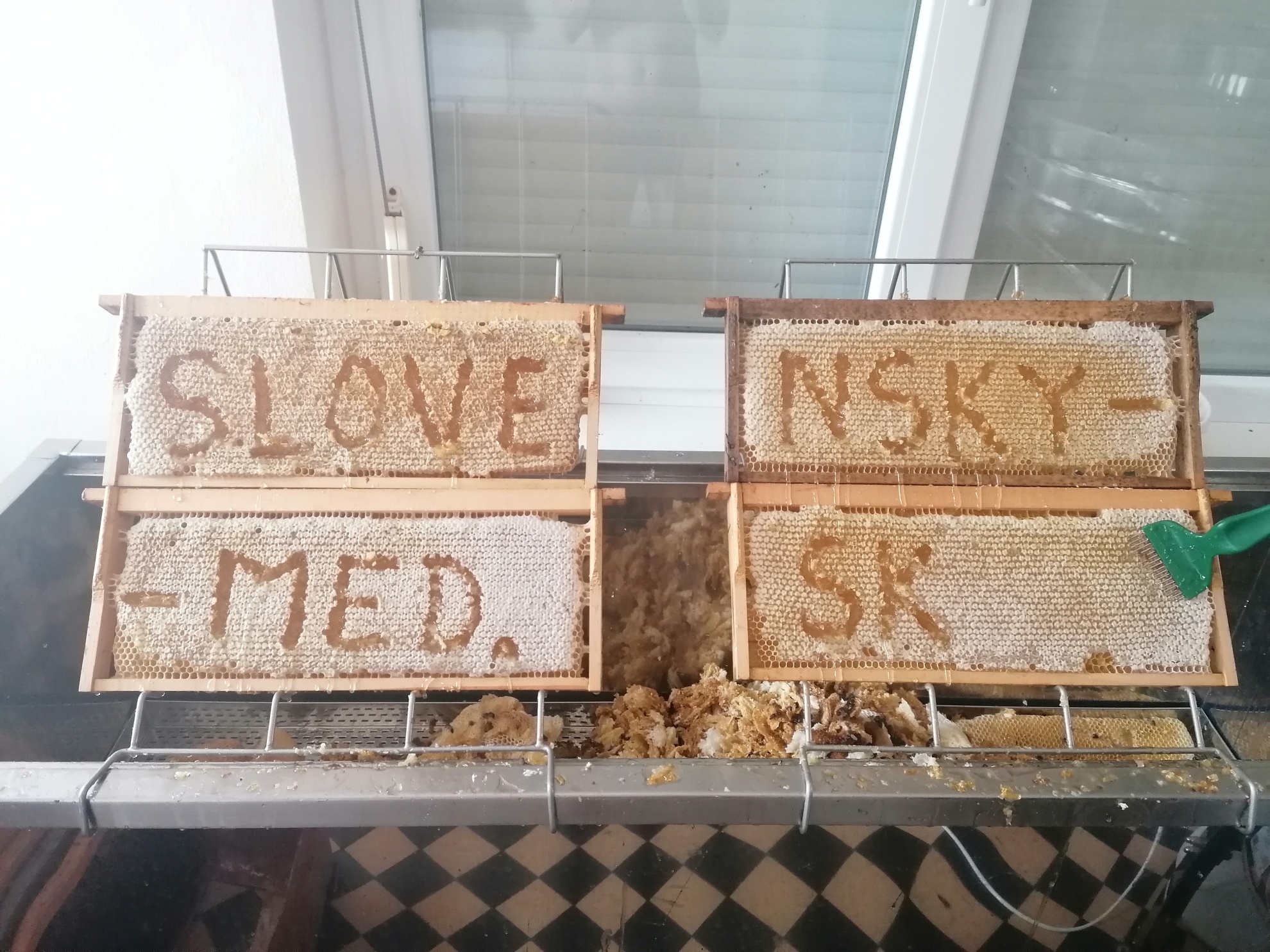 Agátový včelí med 250g - PET obal - macko so sosákom – Obrázok 5