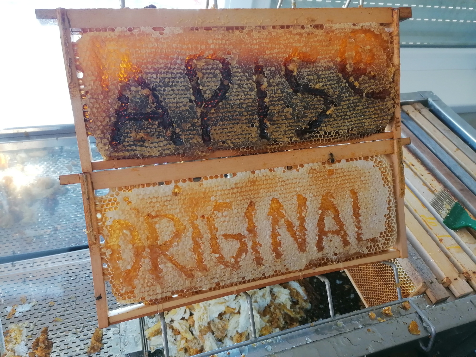 Agátový včelí med 950g - TMAVŠÍ – Obrázok 9